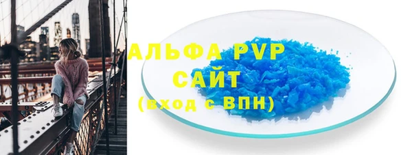 PSILOCYBIN Балахна